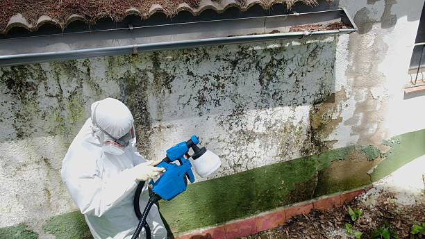 Trusted Bathroom Mold Removal service in Kings Park, VA - Cheap Mold Removal